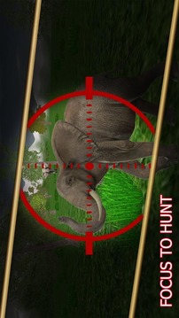 Special Hero Wild Animals Hunt游戲截圖4