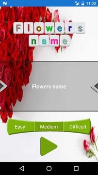 Flowers name游戲截圖2