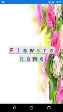 Flowers name游戲截圖1