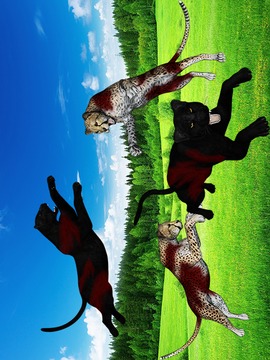 Cheetah Panther Safari Hunting游戲截圖5