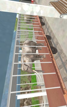 Animal Cargo Train Simulator游戲截圖2