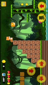 Fox Adventure Game游戲截圖3