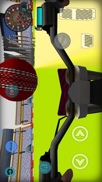 Bike Cricket 3D游戲截圖1