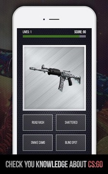 Guess the skins name游戲截圖2