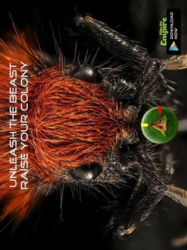 Killer Ant Empire Game MMO游戲截圖4
