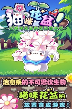 貓咪花盆游戲截圖5