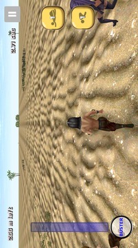 沙漠亚军，运行游戏游戏截图2