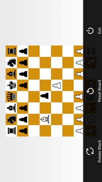 Chess Trainer游戲截圖3