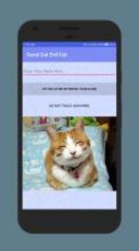 Good Cat And Evil Cat游戲截圖3