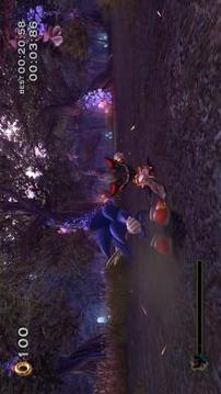 Sonic Family Adventures游戲截圖3