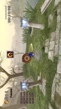 Sonic Family Adventures游戲截圖1