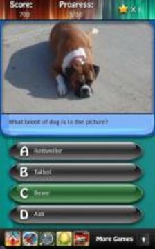 Dog Breeds Quiz HD游戲截圖3
