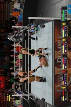 Pro Wwe W2k17 Smackdown Hint游戲截圖3