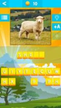 1 PICS QUIZ Guess the words游戲截圖3