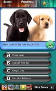 Dog Breeds Quiz HD游戲截圖2
