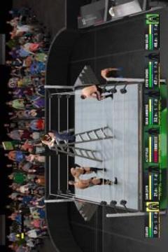 Pro Wwe W2k17 Smackdown Hint游戲截圖2