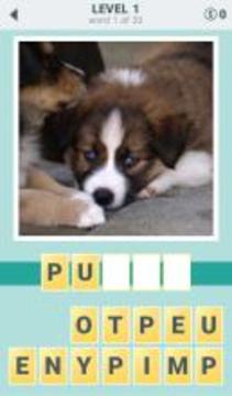 4 clues: word search game游戲截圖1