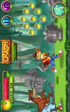 Super Bandicoot Jungle游戲截圖2