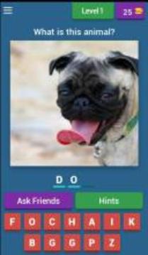 Animals Quiz Game游戲截圖1