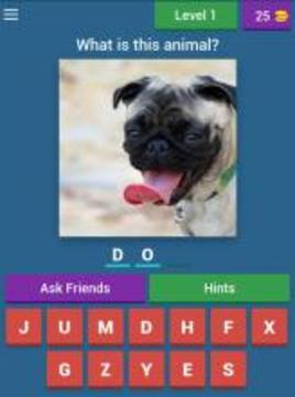 Animals Quiz Game游戲截圖4