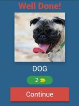 Animals Quiz Game游戲截圖5