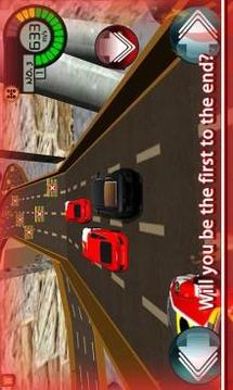 Drive Till Death 3D游戲截圖4