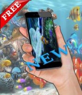 your free fish screen游戏截图2