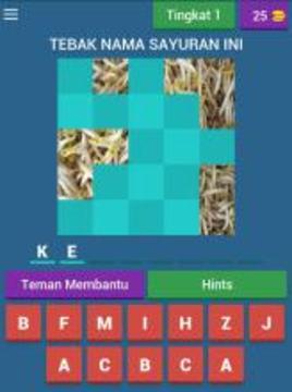 Kuis Tebak Sayuran Dan Bumbu Dapur游戲截圖4
