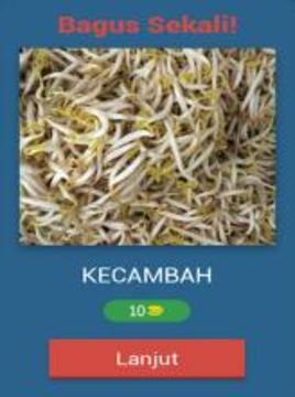 Kuis Tebak Sayuran Dan Bumbu Dapur游戲截圖3