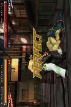 Pro Tekken 5 Hint游戲截圖3