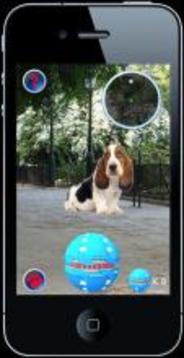 Pocket Puppy Pet Go!游戲截圖2