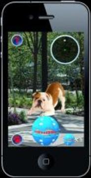 Pocket Puppy Pet Go!游戲截圖1