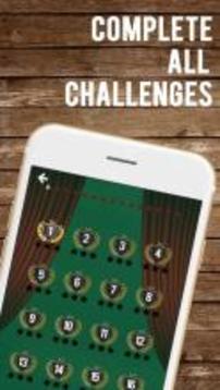 Solitaire Card - Classic Card Feel游戲截圖4