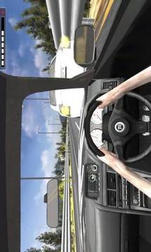 In Car Highway Driving游戲截圖5