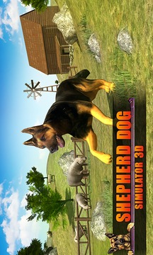 Shepherd Dog Simulator 3D游戲截圖1