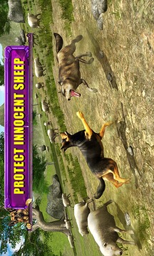 Shepherd Dog Simulator 3D游戲截圖4