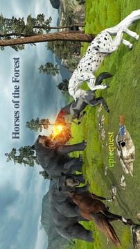 Horses of the Forest游戲截圖3