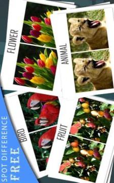 Find The Difference 50 Level : Spot Difference游戲截圖5