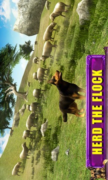 Shepherd Dog Simulator 3D游戲截圖2