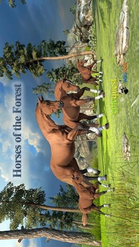 Horses of the Forest游戲截圖1