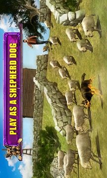 Shepherd Dog Simulator 3D游戲截圖5