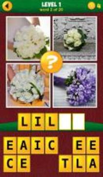 4 Pics 1 Odd: More Words游戲截圖3