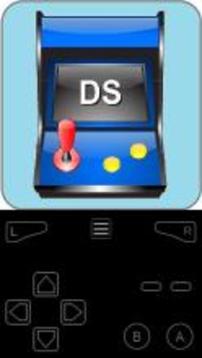 Free DS Emulator NDS游戲截圖1