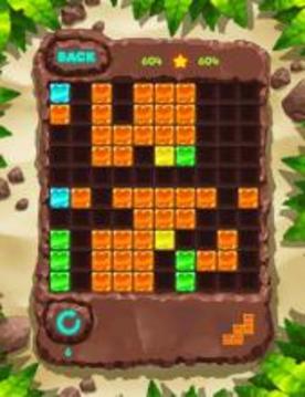 Block Puzzle Fauna 塊拼圖經(jīng)典：動物游戲截圖3