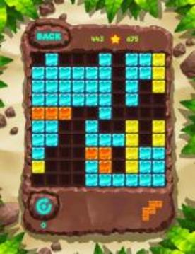 Block Puzzle Fauna 塊拼圖經(jīng)典：動物游戲截圖5