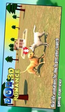 Real Dog Romance Simulator 3D游戲截圖3