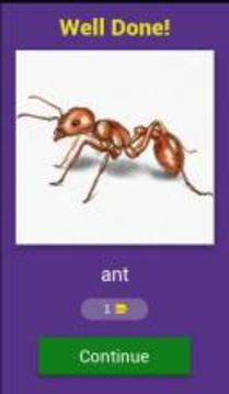 ESL Guess the Word游戲截圖2