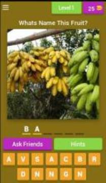 Guess The Fruits游戲截圖1