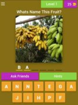 Guess The Fruits游戲截圖4