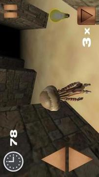 Maze: Escape Old Fortress游戲截圖1